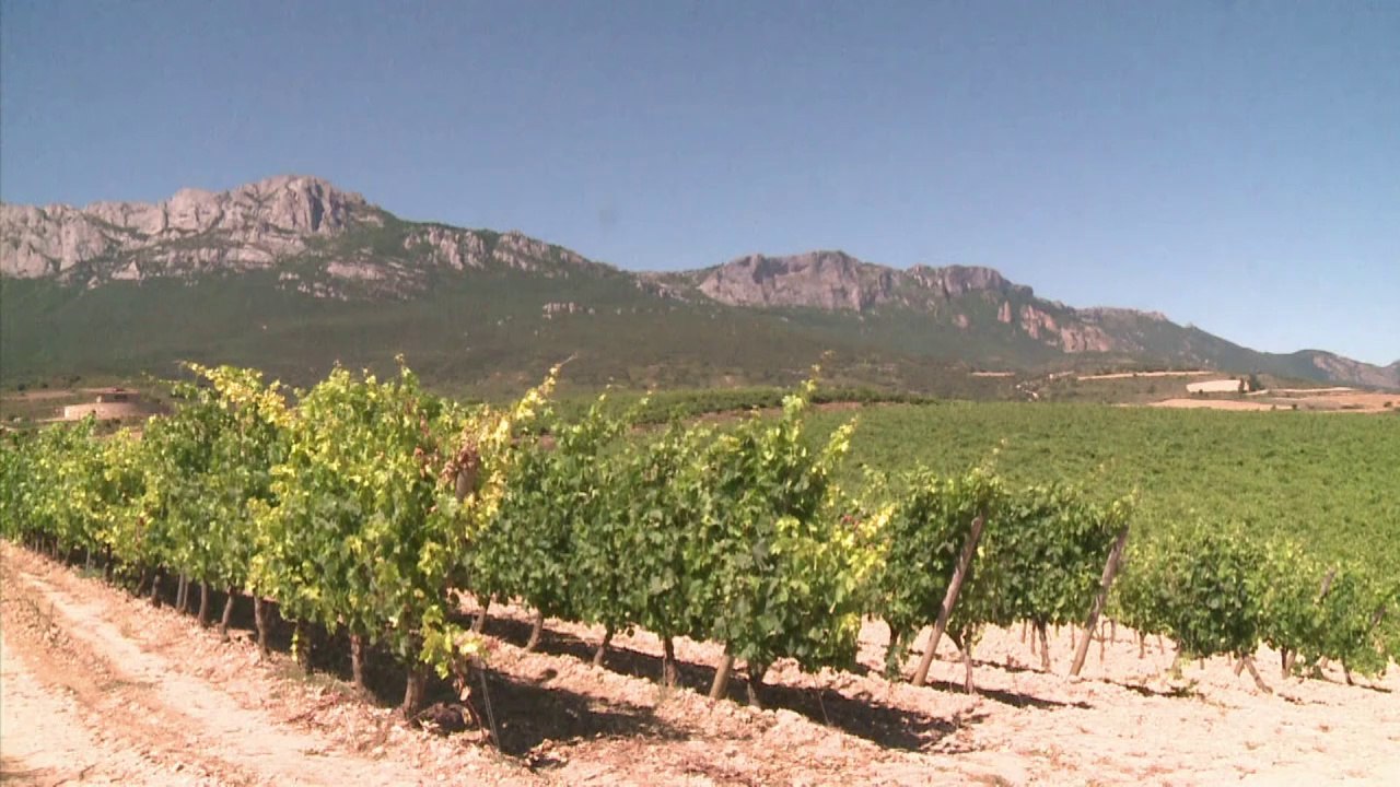 Stararchitektur und wein: la rioja lockt luxustouristen
