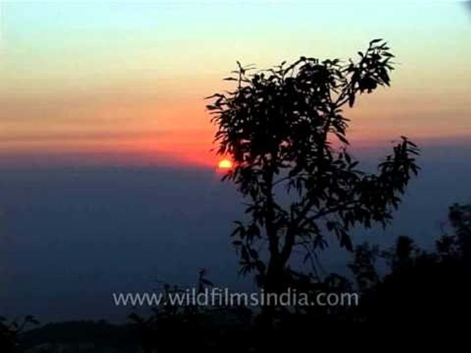 Sunset over the oaks, Mussoorie