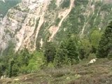 Treacherous yet beautiful steep slopes of Nanda Devi Sanctuary