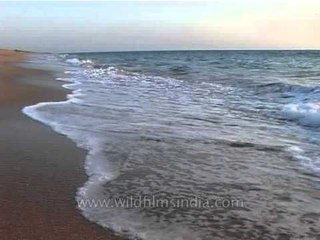 Waves coming into a beach