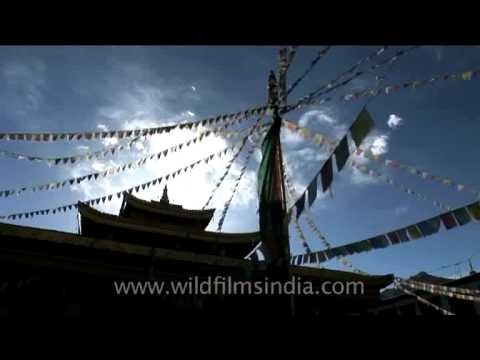 Prayer flags adorn the compounds of Soma Gompa in Leh, Ladakh