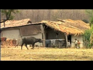 Traditional hut with dry grass on the roof top in Uttarakhand