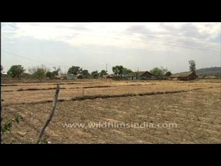 Agricultural land in front of houses in Uttarakhand