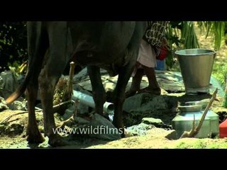 Water worries weigh high in Manegaon Village, Maharashtra