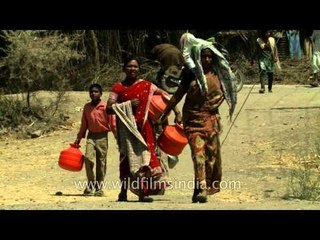 People travel for water: Manegaon village, Maharashtra