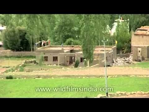 Traditional mud - brick houses of Leh, Ladakh