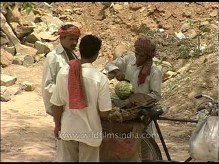 Labourers buying watermelon during hot summer season in Delhi