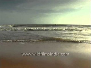 Pamper your feet : Go Barefoot along sandy beaches in Thiruvananthapuram