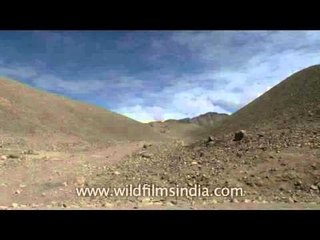 Ladakh - The Barren Splendour, Jammu and Kashmir