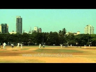 Budding cricketers practicing in Mumbai