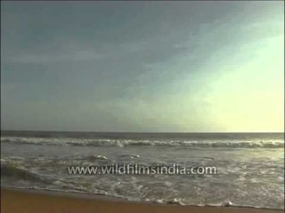 Waves on the sandy beach of Trivandrum, Kerala