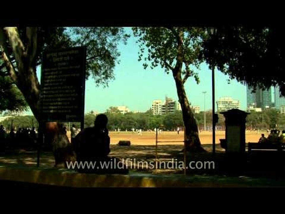 Playing cricket at Mumbai
