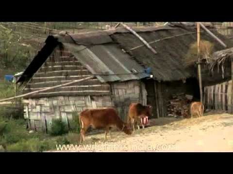 Straw huts at a village in Arunachal Pradesh