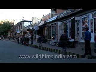 Ladakh markets - perfect place to walk around and pick up souvenirs