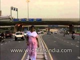 Woman walking on divider, Ring Road, Delhi