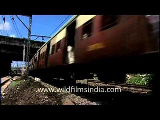 Walking on rail tracks can be dangerous