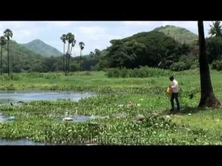 Man throwing garbage