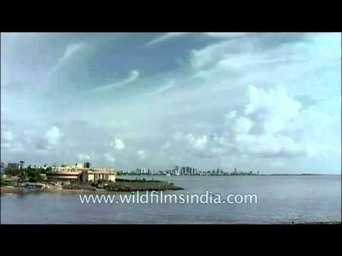 Top view aerial shot of Mumbai city