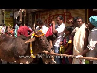 Pilgrims waiting patiently to enter Kashi Vishwanath temple in Varanasi