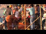 Shivling pooja in Varanasi Ganges ghat during Maha Shivratri