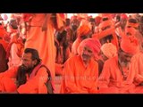 Holy crowd waiting for food at Bhandara during Maha Shivratri, Varanasi