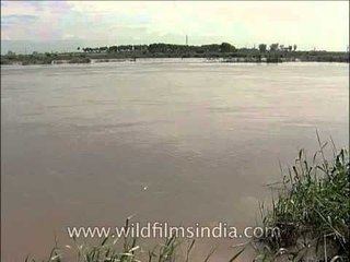 Delhi's Yamuna river during monsoon season