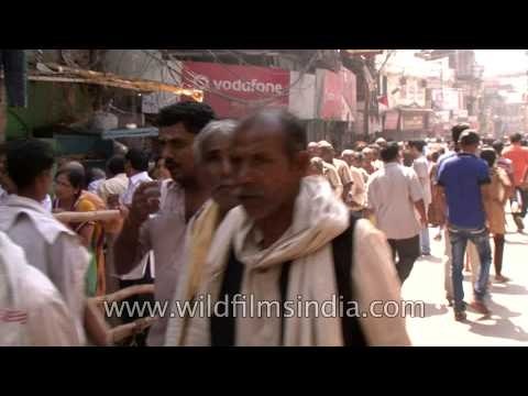Numbers of pilgrims queuing up for entering Kashi Vishwanath temple on Mahashivaratri