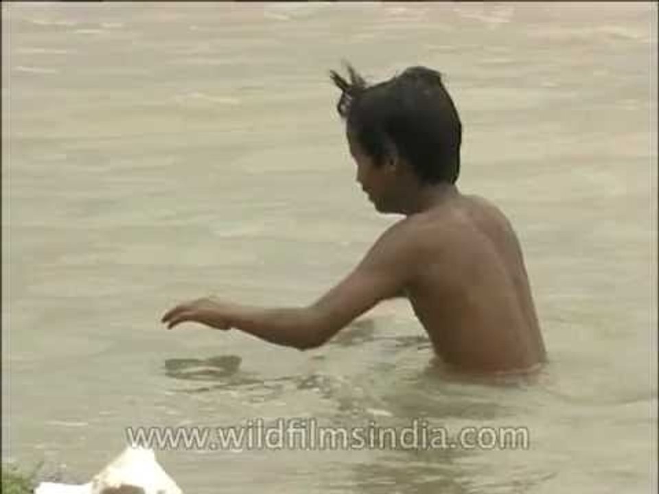 Young boys swim into the Yamuna river looking for coins - video Dailymotion