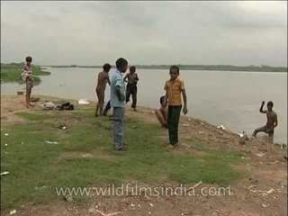 Children swimming in muddy Yamuna river, Delhi