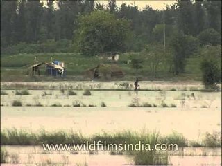 Yamuna embankments in Delhi Area
