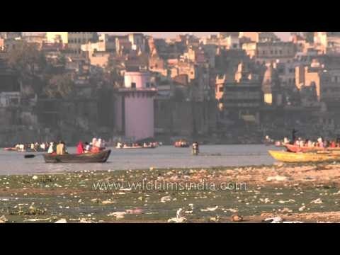 Experience the magic of the river Ganges on a boat ride in Varanasi