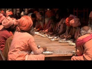 Shahi Bhandara for Hindu saints at Juna Akhada during Maha Shivratri