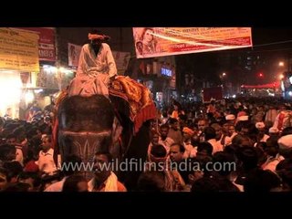 Elephant in the midst of crowds during Mahashivratri in Varanasi
