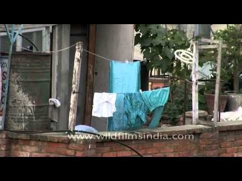 Nepali woman, drying clothes on the roof in Kathmandu
