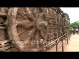 Wilderness Films India stock footage showreel - view the best of the best!