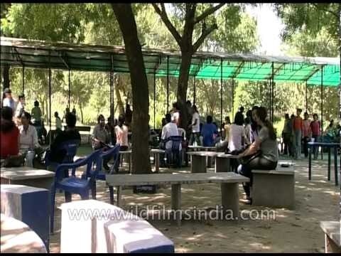 College students having a chit-chat session