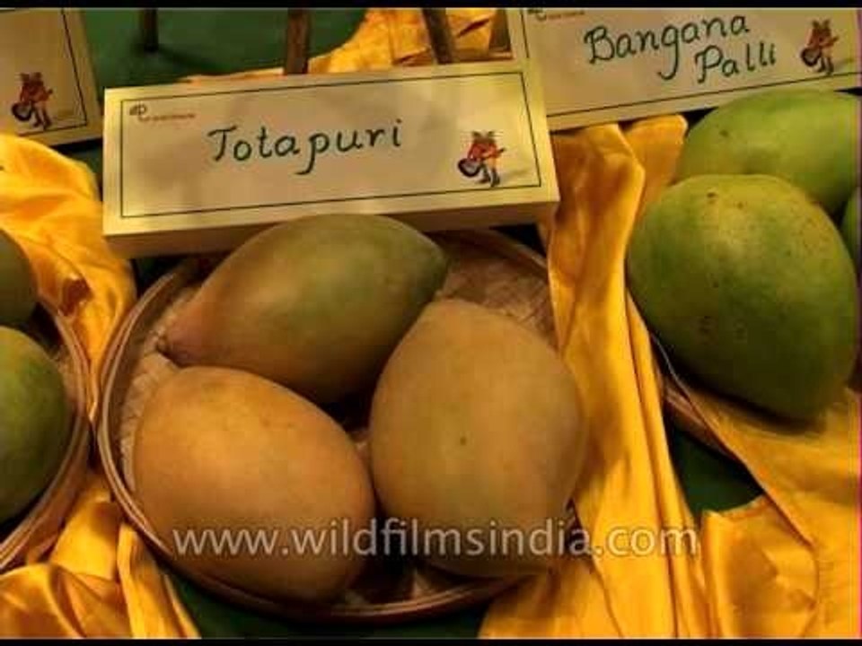 Different types of Mango featured at the Mango festival, Delhi