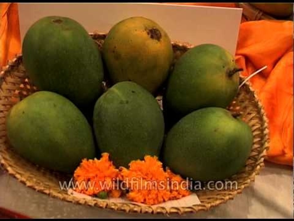 Largest varieties of mangoes in the world grown in India