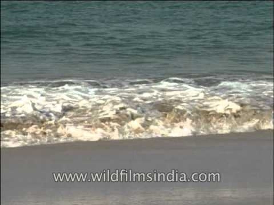 Sea waves hitting the shores