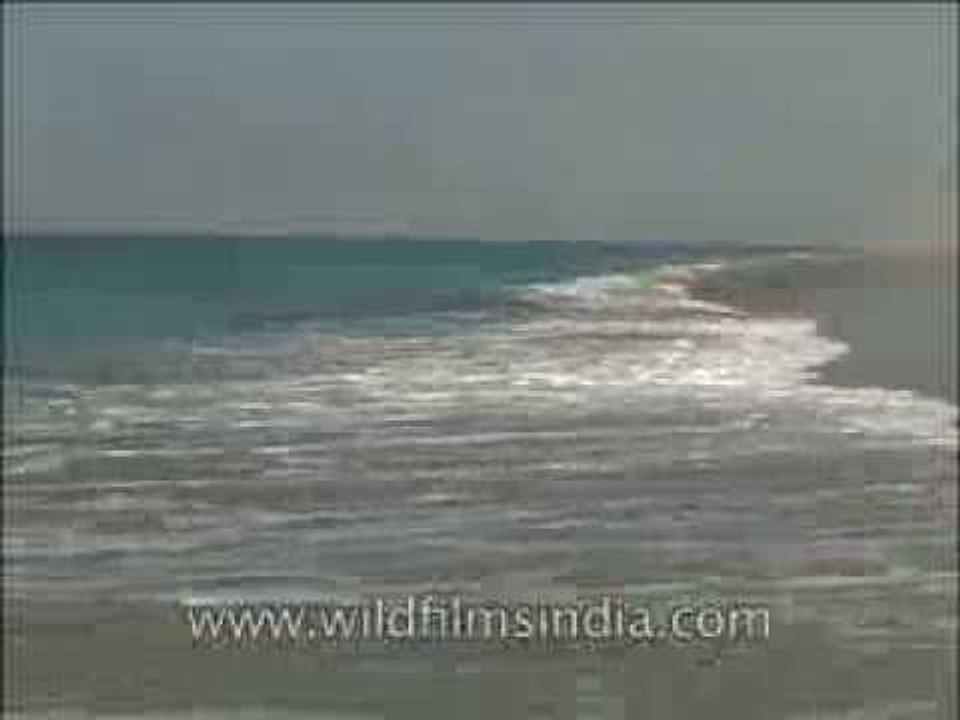 Arabian Sea waves strike the Gujarat coast at Porbander