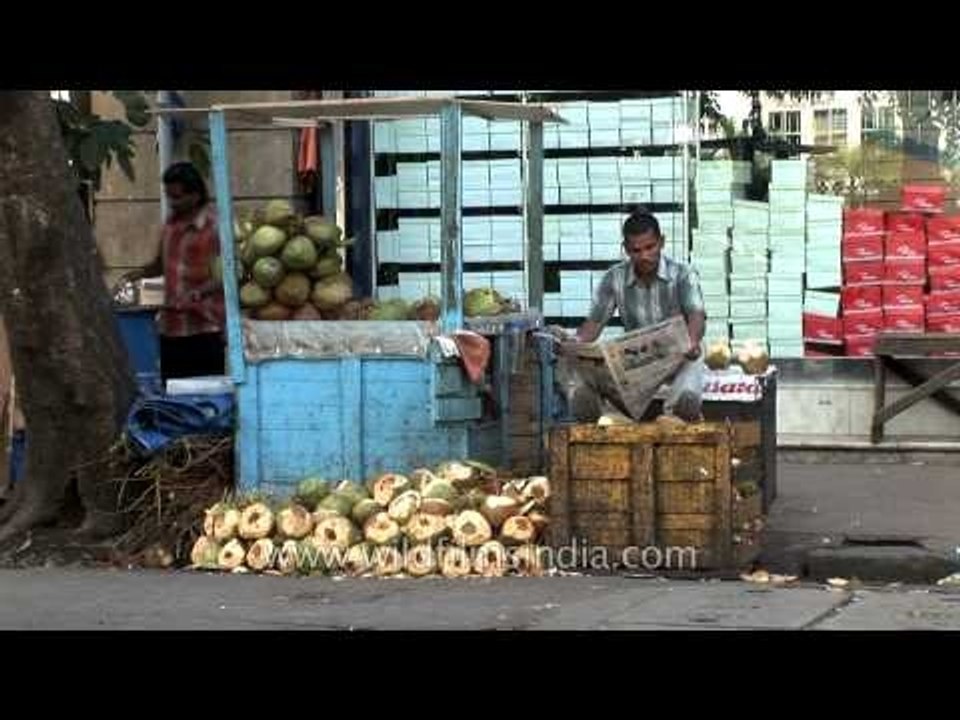 Roadside coconut vendor