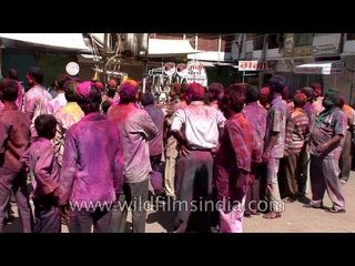 Holi: Festival of colour in Jodhpur