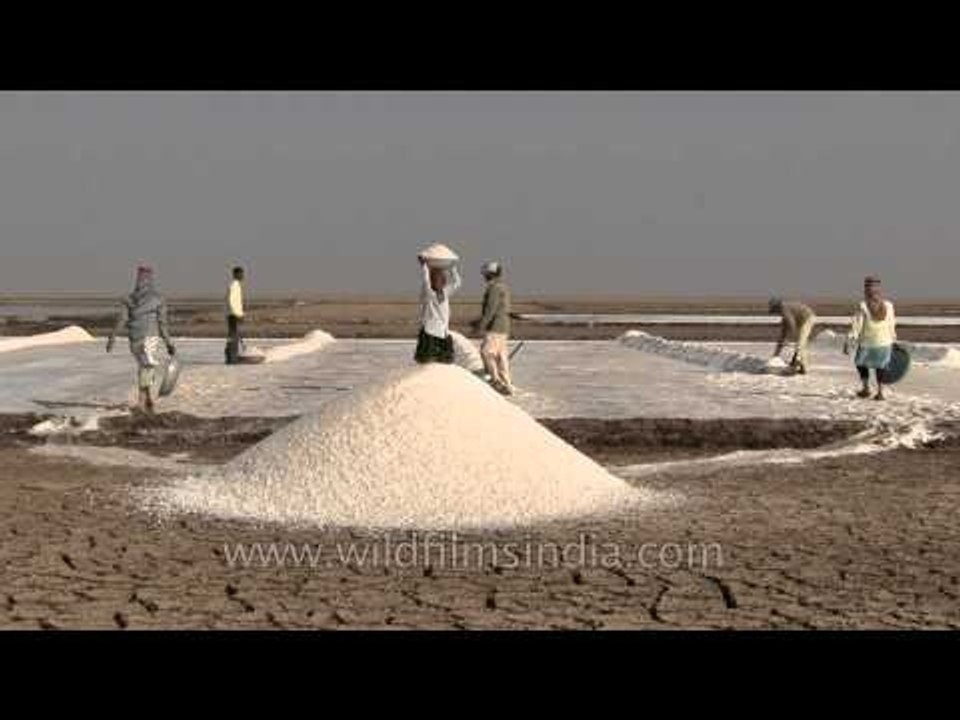 The Gujarat footage collection!