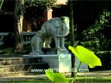 Lotus pond and elephant statues in Nepal