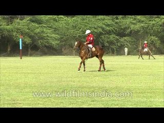 President's Polo Cup