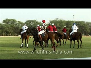 The sport of kings - Polo