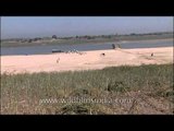 Sandy beaches of National Chambal Sanctuary