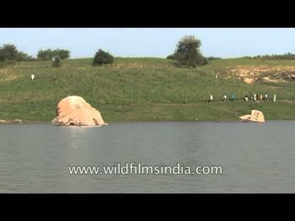 Alluvial fertile plains of the Chambal river banks