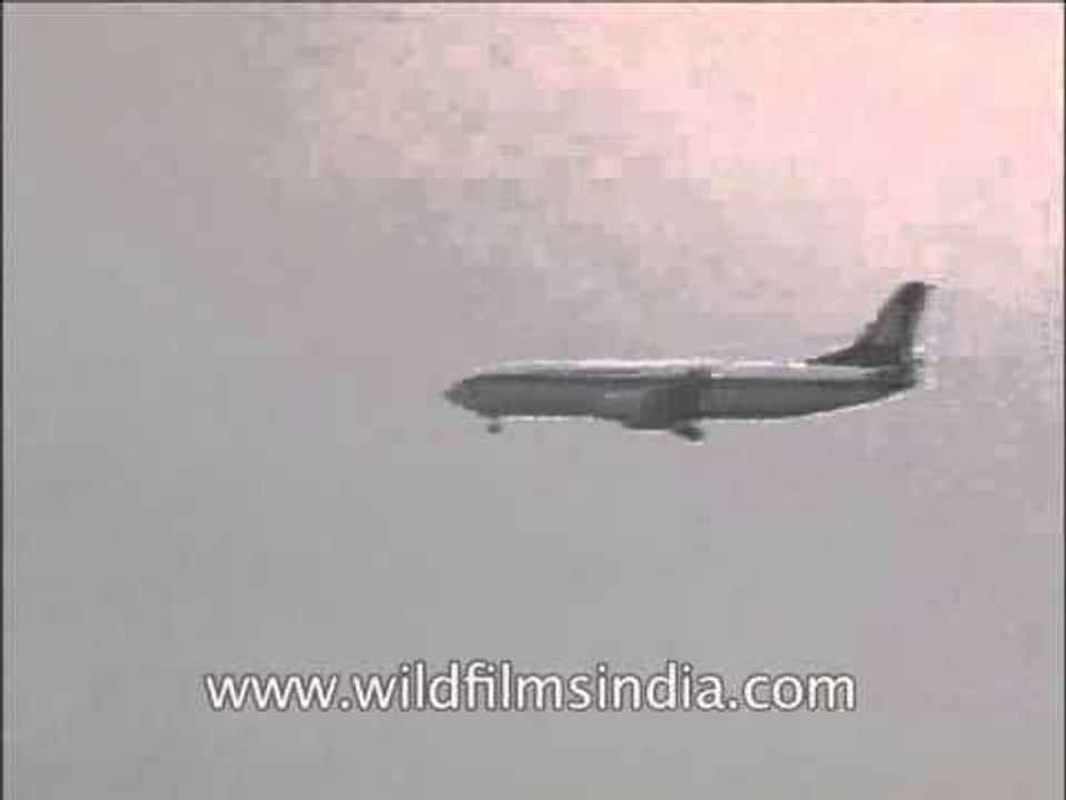 Jet Airways flight take off from Indira Gandhi International Airport, Delhi