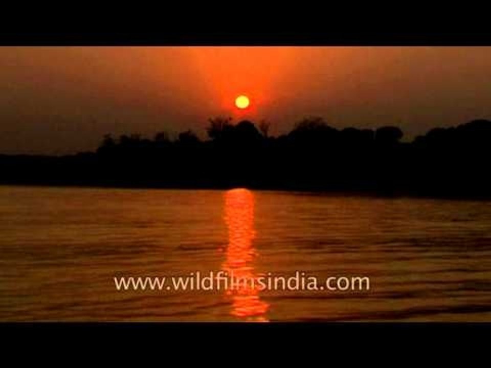 Chambal River at sunset